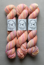 Load image into Gallery viewer, Three skeins of multicolored yarn with Spincycle Yarns labels on a gray background