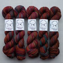 Load image into Gallery viewer, Five skeins of multicolored yarn with Spincycle Yarns labels on a gray background