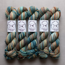 Load image into Gallery viewer, Five skeins of multicolored yarn with Spincycle Yarns labels on a gray background