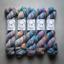 Load image into Gallery viewer, Five skeins of multicolored yarn with Spincycle Yarns labels on a gray background