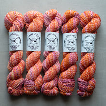 Load image into Gallery viewer, Five skeins of multicolored yarn with Spincycle Yarns labels on a gray background