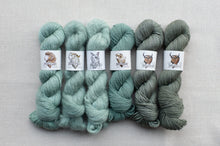 Load image into Gallery viewer, Six skeins of yarn in varying shades of green with labels on a gray background