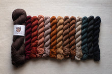 Load image into Gallery viewer, Set of yarn skeins in various earthy tones on a neutral background