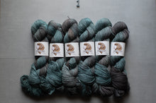 Load image into Gallery viewer, Six skeins of variegated yarn arranged in two rows on a gray background, with white paper labels wrapped around the center. The yarn shows a color-shifting gradient between teal, blue-green, and charcoal gray.