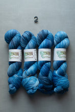 Load image into Gallery viewer, Four skeins of blue yarn with labels on a gray background