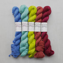 Load image into Gallery viewer, Five skeins of yarn in different colors arranged side by side on a light gray background: blue, aqua, chartreuse green, terracotta, and dark red. Each skein has a white paper label wrapped around it.