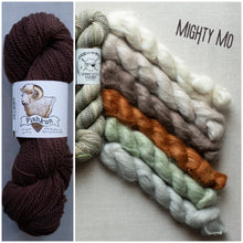 Load image into Gallery viewer, A split image showing a skein of dark brown yarn on the left and several color samples of yarn on the right under the heading 'Mighty Mo'. The left yarn skein has a label for 'Piskun' by 'Springfield Yarns'.