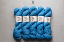 Load image into Gallery viewer, Five skeins of blue yarn with labels on a gray background
