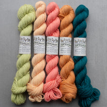 Load image into Gallery viewer, Five skeins of colorful yarn in green, pink, orange, and blue on a gray background with labels.