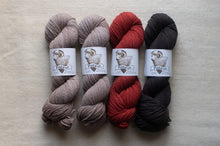 Load image into Gallery viewer, Four skeins of yarn in different colors with labels on a neutral background