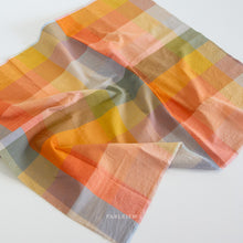 Load image into Gallery viewer, Colorful checkered fabric with 'Fableism' branding on a white background