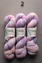 Load image into Gallery viewer, Three skeins of multicolored yarn with labels on a gray background