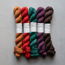 Load image into Gallery viewer, Five skeins of colorful yarn on a gray background