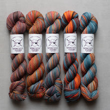 Load image into Gallery viewer, Dyed in the Wool - Spincycle Yarns