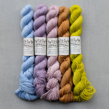 Load image into Gallery viewer, Sock Squad 2026 High Contrast Minis PREORDER