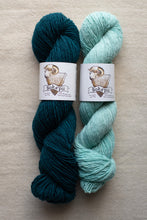 Load image into Gallery viewer, Two skeins of yarn, one dark blue and one light green, with labels on a beige background.