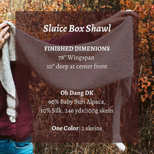 Load image into Gallery viewer, Person holding a brown shawl with text about dimensions and yarn details against an autumn background.
