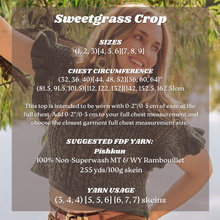 Load image into Gallery viewer, A woman wearing a dark gray Sweetgrass crochet crop top, with a large semi-transparent text overlay detailing sizing, chest circumference, suggested FDF yarn from Piskkun, and yarn usage instructions.