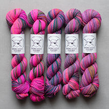 Load image into Gallery viewer, Dyed in the Wool - Spincycle Yarns