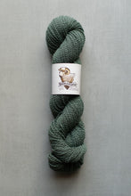 Load image into Gallery viewer, Green skein of yarn with a label on a gray background