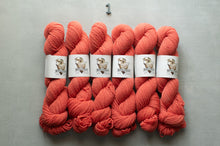 Load image into Gallery viewer, Six skeins of coral yarn with labels on a gray background