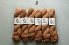 Load image into Gallery viewer, Set of six skeins of brown yarn with labels on a gray background