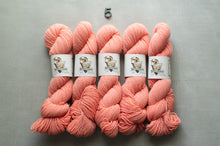 Load image into Gallery viewer, Five skeins of pink yarn with labels on a gray background
