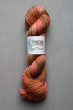 Load image into Gallery viewer, Multicolored skein of yarn with a label on a gray background