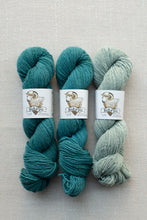 Load image into Gallery viewer, Three skeins of yarn laid flat on a light beige textured background. The left two skeins are a deep teal-blue, and the right skein is a pale sage green.