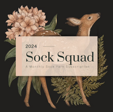 Load image into Gallery viewer, 2024 Sock Squad Leftovers