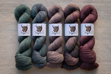 Load image into Gallery viewer, Five skeins of yarn in green, blue, and brown shades on a neutral background.