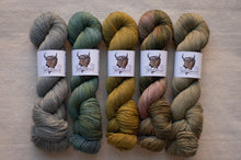 Load image into Gallery viewer, Five skeins of yarn in various colors with labels on a wooden surface
