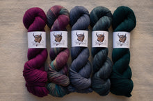 Load image into Gallery viewer, Five skeins of multicolored yarn on a neutral background with brand labels.