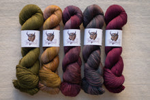 Load image into Gallery viewer, Five skeins of yarn in various colors with labels on a neutral background