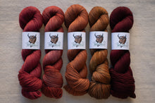 Load image into Gallery viewer, Five skeins of red and brown yarn on a neutral background with labels.