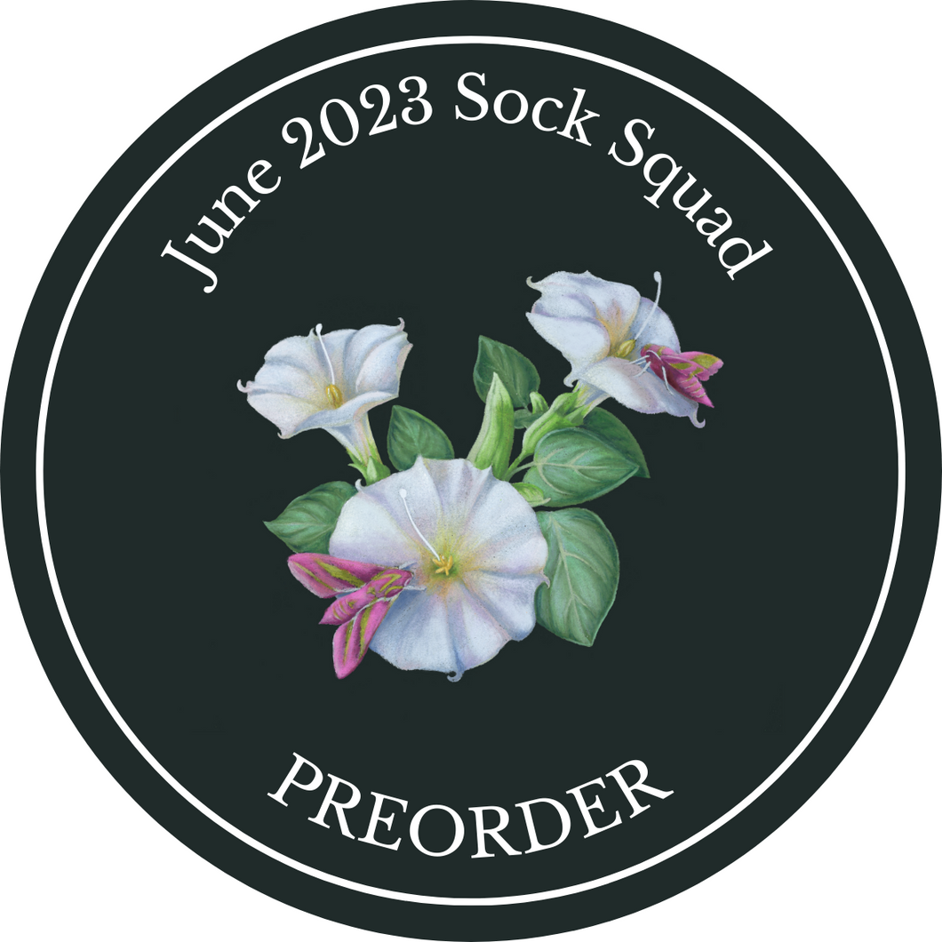 June 2023 Sock Squad