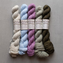 Load image into Gallery viewer, Five skeins of yarn in different colors with labels on a gray background