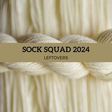 Load image into Gallery viewer, 2024 Sock Squad Leftovers