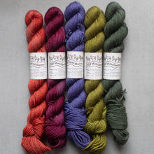 Load image into Gallery viewer, Five skeins of yarn in red, purple, blue, green, and gray on a gray background with labels.