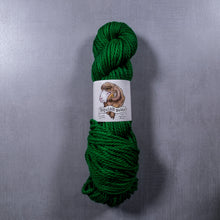 Load image into Gallery viewer, Squish Bulky - The Farmer&#39;s Daughter Fibers