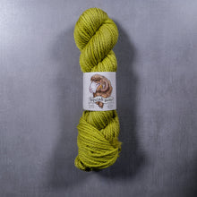 Load image into Gallery viewer, Squish Bulky - The Farmer&#39;s Daughter Fibers