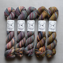 Load image into Gallery viewer, Dyed in the Wool - Spincycle Yarns