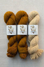 Load image into Gallery viewer, Three hanks of yarn in warm earthy tones arranged vertically on a light gray textured background. The left two hanks are a rich mustard-brown, and the rightmost is a light oatmeal beige.