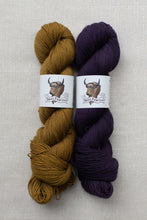 Load image into Gallery viewer, Two skeins of yarn on a light beige textured fabric background. The yarn on the left is a warm mustard brown, and the yarn on the right is a deep purple.