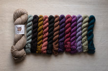 Load image into Gallery viewer, Set of colorful yarn skeins on a neutral background