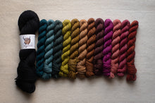 Load image into Gallery viewer, Set of colorful yarn skeins arranged in a gradient on a neutral background