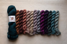 Load image into Gallery viewer, Set of colorful yarn skeins on a neutral background