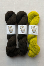 Load image into Gallery viewer, Three skeins of Saka Pi yarn arranged vertically on a light beige textured fabric background. The left two skeins are a very dark brown, and the right skein is a bright chartreuse yellow-green.