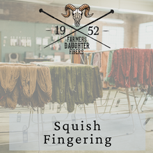 Load image into Gallery viewer, Wholesale Squish Fingering