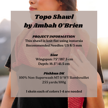 Load image into Gallery viewer, Person wearing a shawl with project information overlay